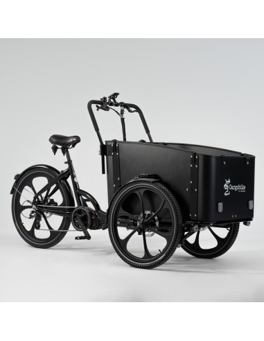 Elektrinis krovininis dviratis CARGOBIKE Delight