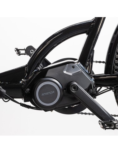 Elektrinis krovininis dviratis CARGOBIKE Delight