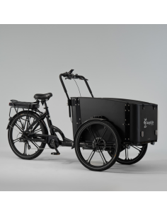 Elektrinis krovininis dviratis CARGOBIKE of SWEDEN Flex