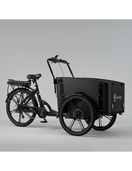 Elektrinis krovininis dviratis CARGOBIKE of SWEDEN Flex