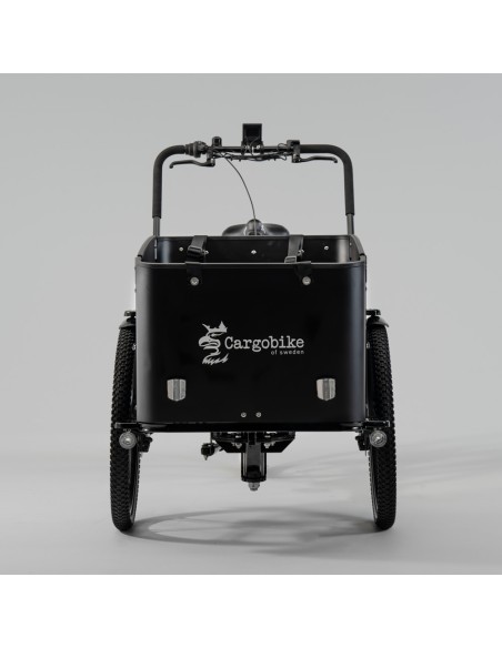 Elektrinis krovininis dviratis CARGOBIKE of SWEDEN Flex