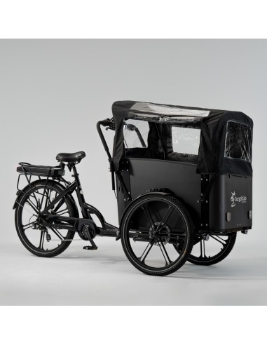 Elektrinis krovininis dviratis CARGOBIKE of SWEDEN Flex