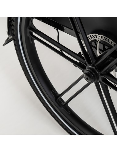 Elektrinis krovininis dviratis CARGOBIKE of SWEDEN Flex