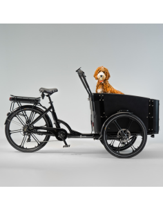 Elektrinis krovininis dviratis CARGOBIKE of SWEDEN Flex Dog