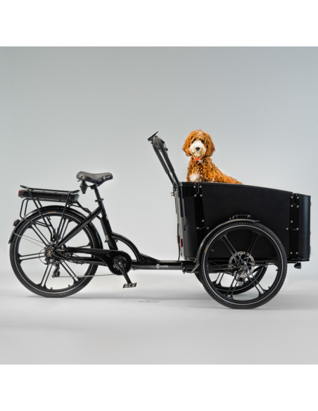 Elektrinis krovininis dviratis CARGOBIKE of SWEDEN Flex Dog