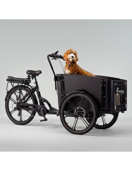 Elektrinis krovininis dviratis CARGOBIKE of SWEDEN Flex Dog