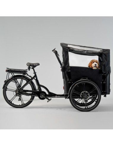 Elektrinis krovininis dviratis CARGOBIKE of SWEDEN Flex Dog