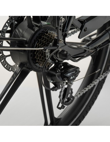 Elektrinis krovininis dviratis CARGOBIKE of SWEDEN Flex Dog