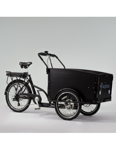 Elektrinis krovininis dviratis CARGOBIKE of SWEDEN Classic