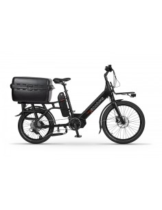 Elektrinis dviratis ECOBIKE Cargo 2