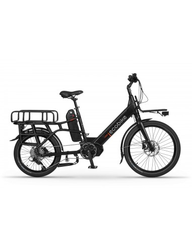 Elektrinis dviratis ECOBIKE Cargo