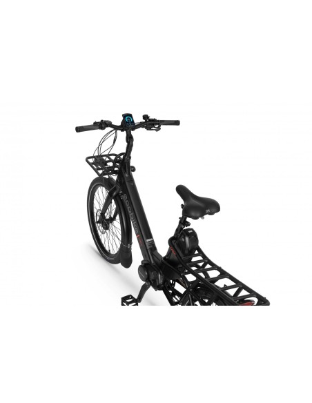 Elektrinis dviratis ECOBIKE Cargo