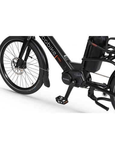 Elektrinis dviratis ECOBIKE Cargo