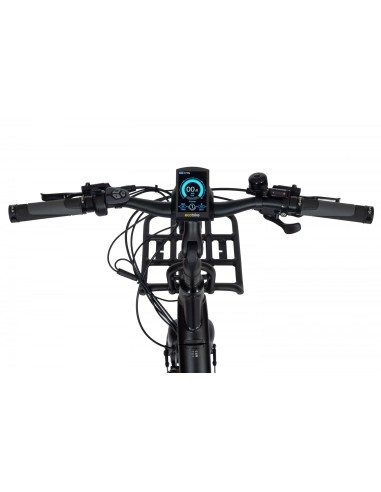 Elektrinis dviratis ECOBIKE Cargo