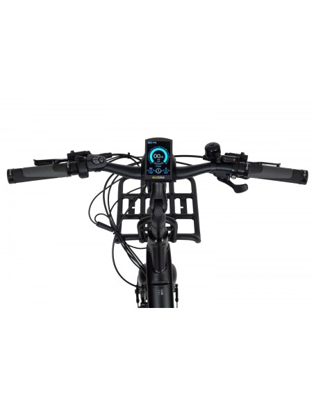 Elektrinis dviratis ECOBIKE Cargo