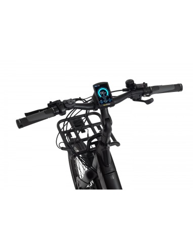 Elektrinis dviratis ECOBIKE Cargo