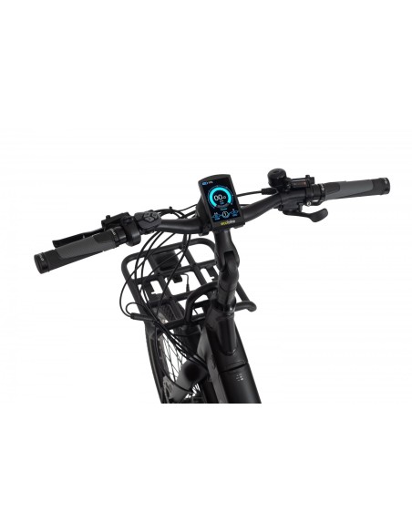 Elektrinis dviratis ECOBIKE Cargo