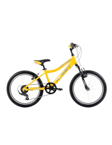 Vaikiškas dviratis ROMET Rambler 20 KID 2, geltonai pilkas