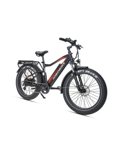 Elektrinis dviratis JOBOBIKE Robin ST Black 14 LG, 2