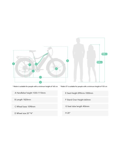 Elektrinis dviratis JOBOBIKE Robin ST Black 14 LG,