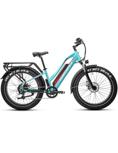 Elektrinis dviratis JOBOBIKE Robin ST Green 14 LG