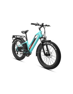 Elektrinis dviratis JOBOBIKE Robin ST Green 14 LG 2