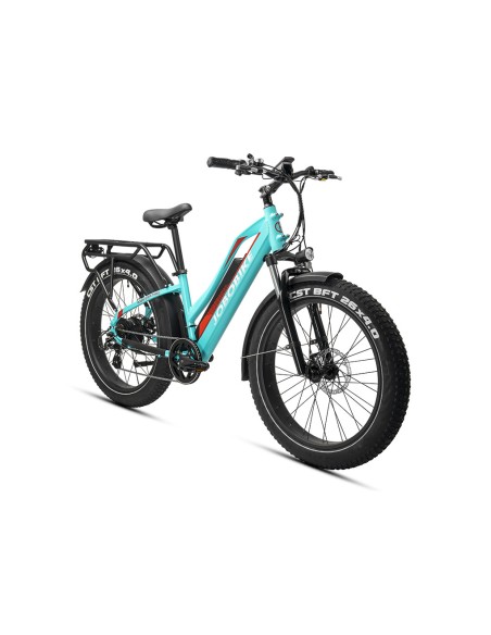 Elektrinis dviratis JOBOBIKE Robin ST Green 14 LG