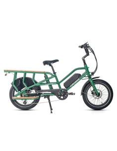 Elektrinis krovininis dviratis JOBOBIKE Transer, žalias