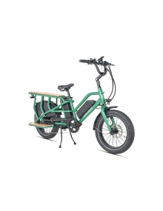 Elektrinis krovininis dviratis JOBOBIKE Transer, žalias 2