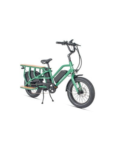 Elektrinis krovininis dviratis JOBOBIKE Transer, žalias