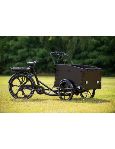 Elektrinis krovininis dviratis CARGOBIKE of SWEDEN Svensson Family