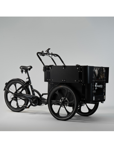 Elektrinis krovininis dviratis CARGOBIKE of SWEDEN „Delight Kindergarten“