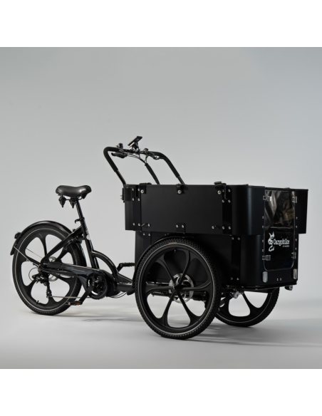 Elektrinis krovininis dviratis CARGOBIKE of SWEDEN „Delight Kindergarten“