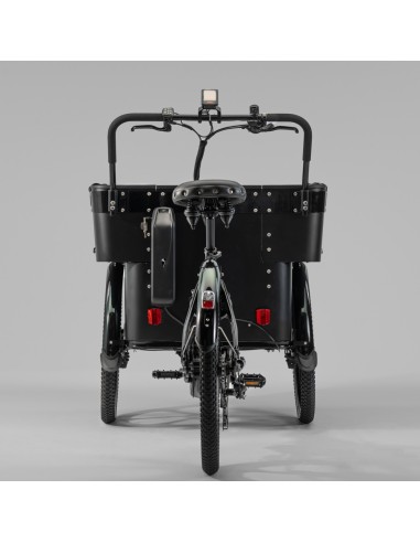 Elektrinis krovininis dviratis CARGOBIKE of SWEDEN „Delight Kindergarten“