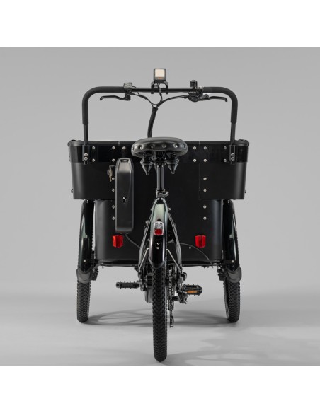 Elektrinis krovininis dviratis CARGOBIKE of SWEDEN „Delight Kindergarten“