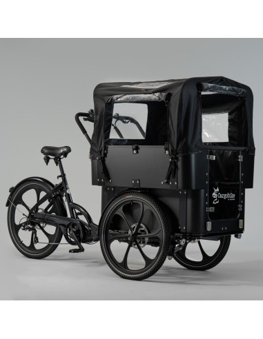 Elektrinis krovininis dviratis CARGOBIKE of SWEDEN „Delight Kindergarten“
