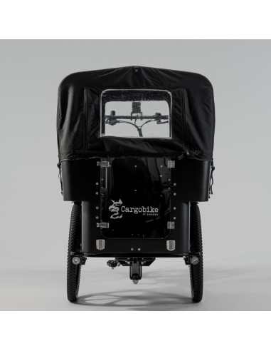 Elektrinis krovininis dviratis CARGOBIKE of SWEDEN „Delight Kindergarten“