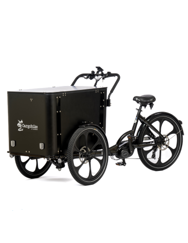 Elektrinis dviratis CARGOBIKE of SWEDEN Delight Box