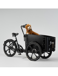 Elektrinis krovininis dviratis CARGOBIKE of SWEDEN Delight Dog