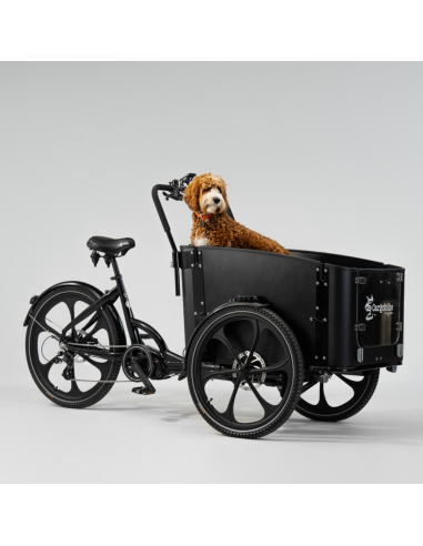 Elektrinis krovininis dviratis CARGOBIKE of SWEDEN Delight Dog
