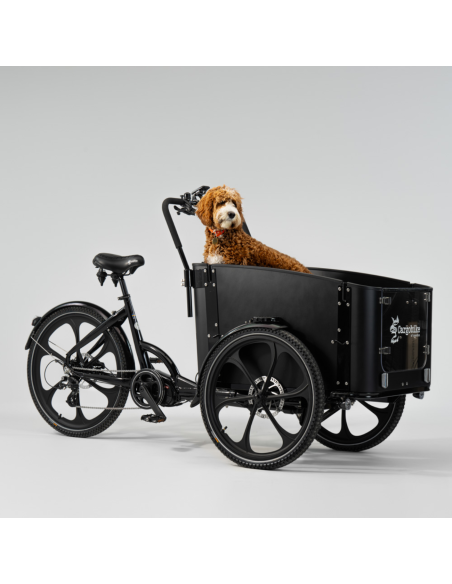 Elektrinis krovininis dviratis CARGOBIKE of SWEDEN Delight Dog