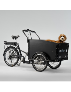 Elektrinis krovininis dviratis CARGOBIKE of SWEDEN Classic Dog