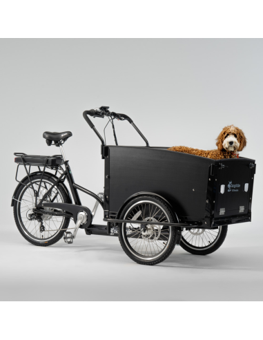 Elektrinis krovininis dviratis CARGOBIKE of SWEDEN Classic Dog
