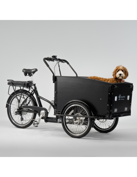 Elektrinis krovininis dviratis CARGOBIKE of SWEDEN Classic Dog