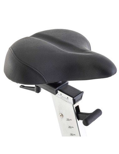 Vertikalus dviratis TUNTURI Platinum E30