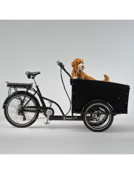 Elektrinis krovininis dviratis CARGOBIKE of SWEDEN Classic Dog