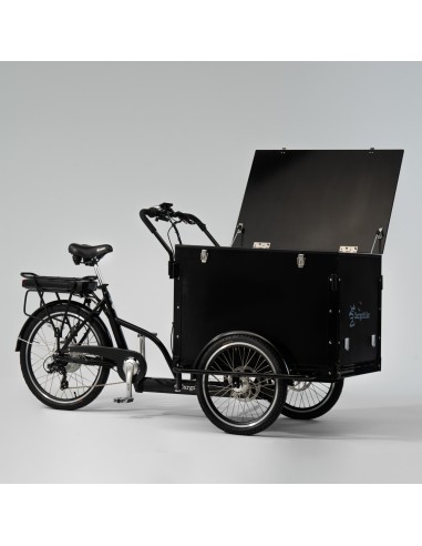 Elektrinis dviratis CARGOBIKE of SWEDEN Classic Box