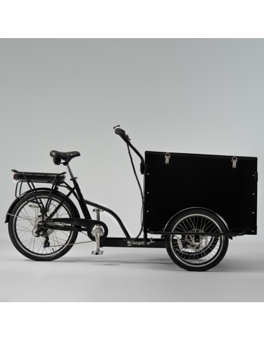 Elektrinis dviratis CARGOBIKE of SWEDEN Classic Box