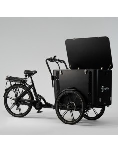 Elektrinis dviratis CARGOBIKE of SWEDEN Flex Box