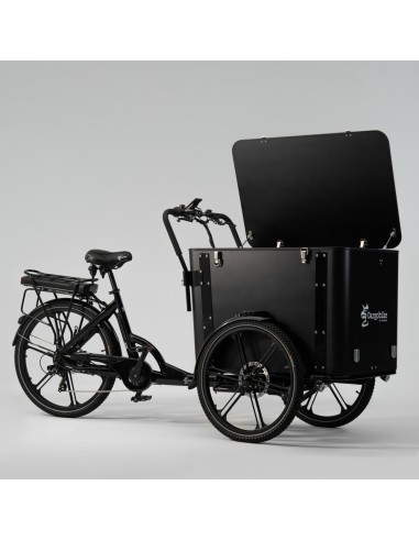 Elektrinis dviratis CARGOBIKE of SWEDEN Flex Box